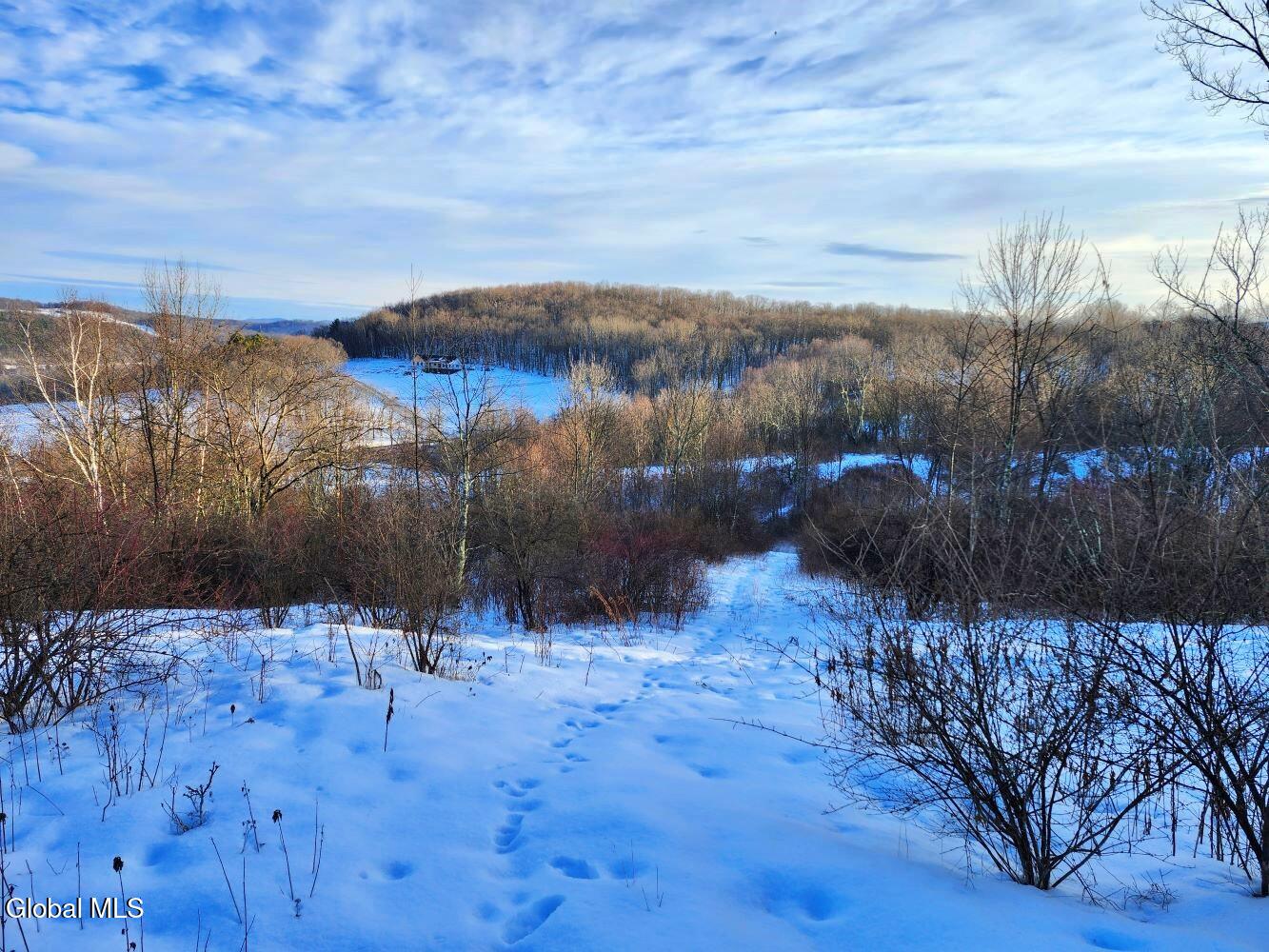 L15 State Route 22 Salem NY 12865