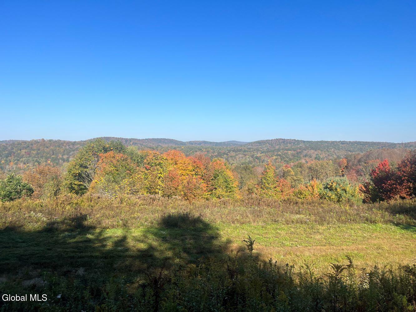 L15 State Route 22 Salem NY 12865