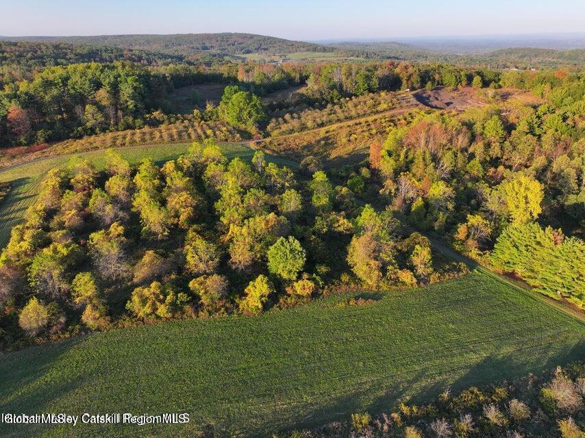 Lot 1 Mountain View Drive Coxsackie NY 12051