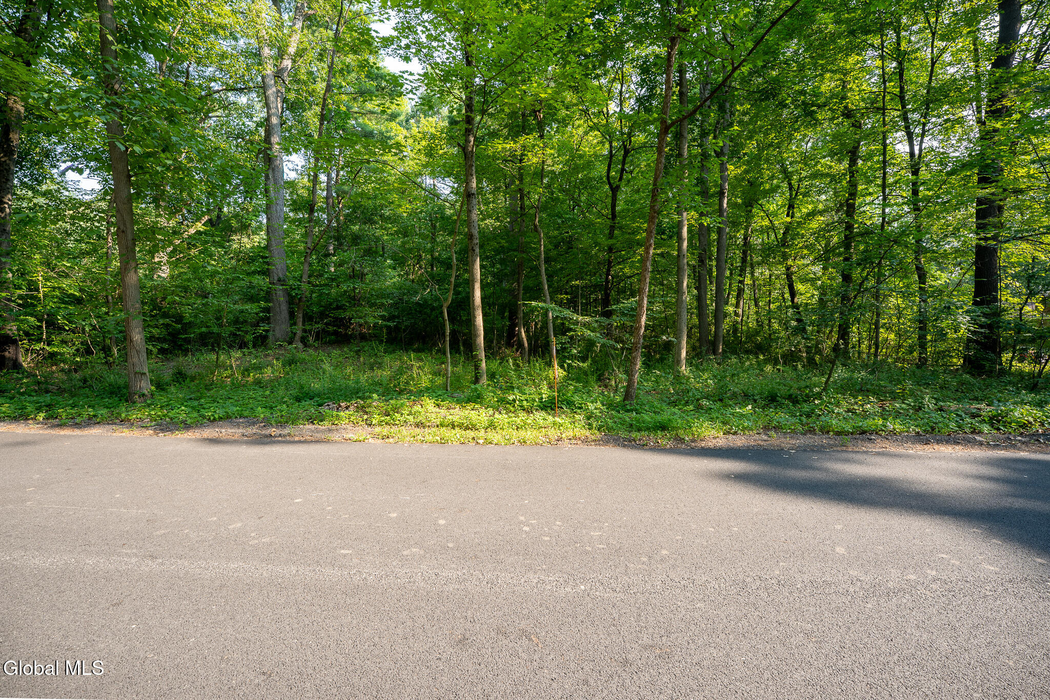 47 Wheeler Road Glenmont NY 12077