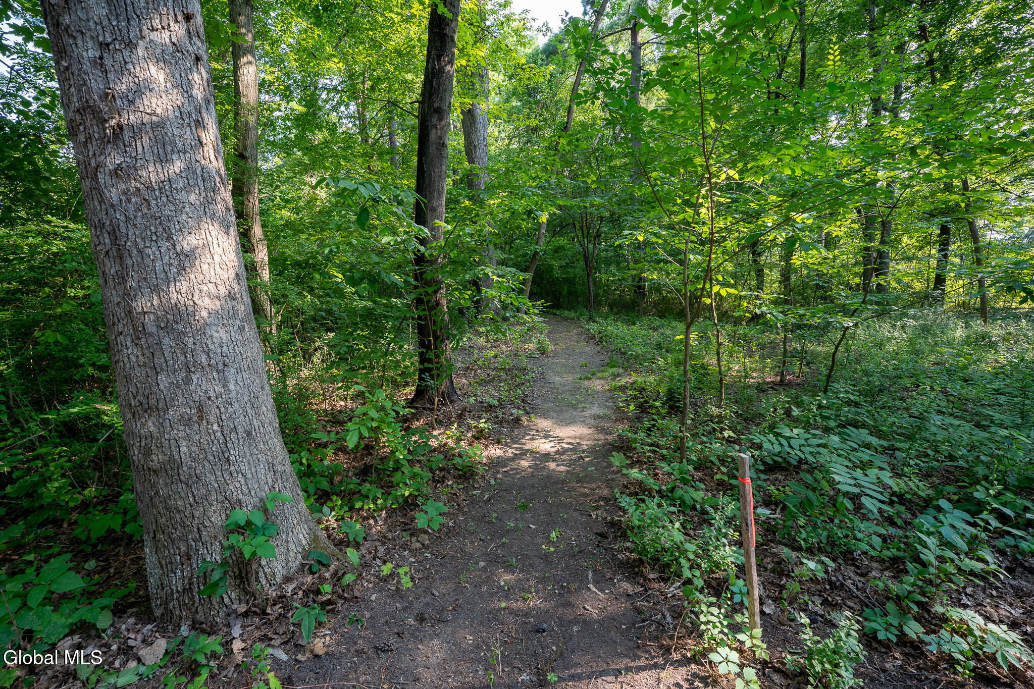 47 Wheeler Road Glenmont NY 12077