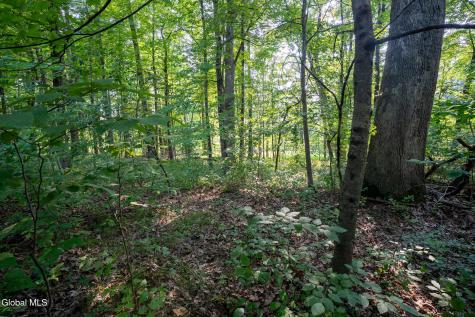 47 Wheeler Road Glenmont NY 12077