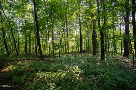 47 Wheeler Road Glenmont NY 12077