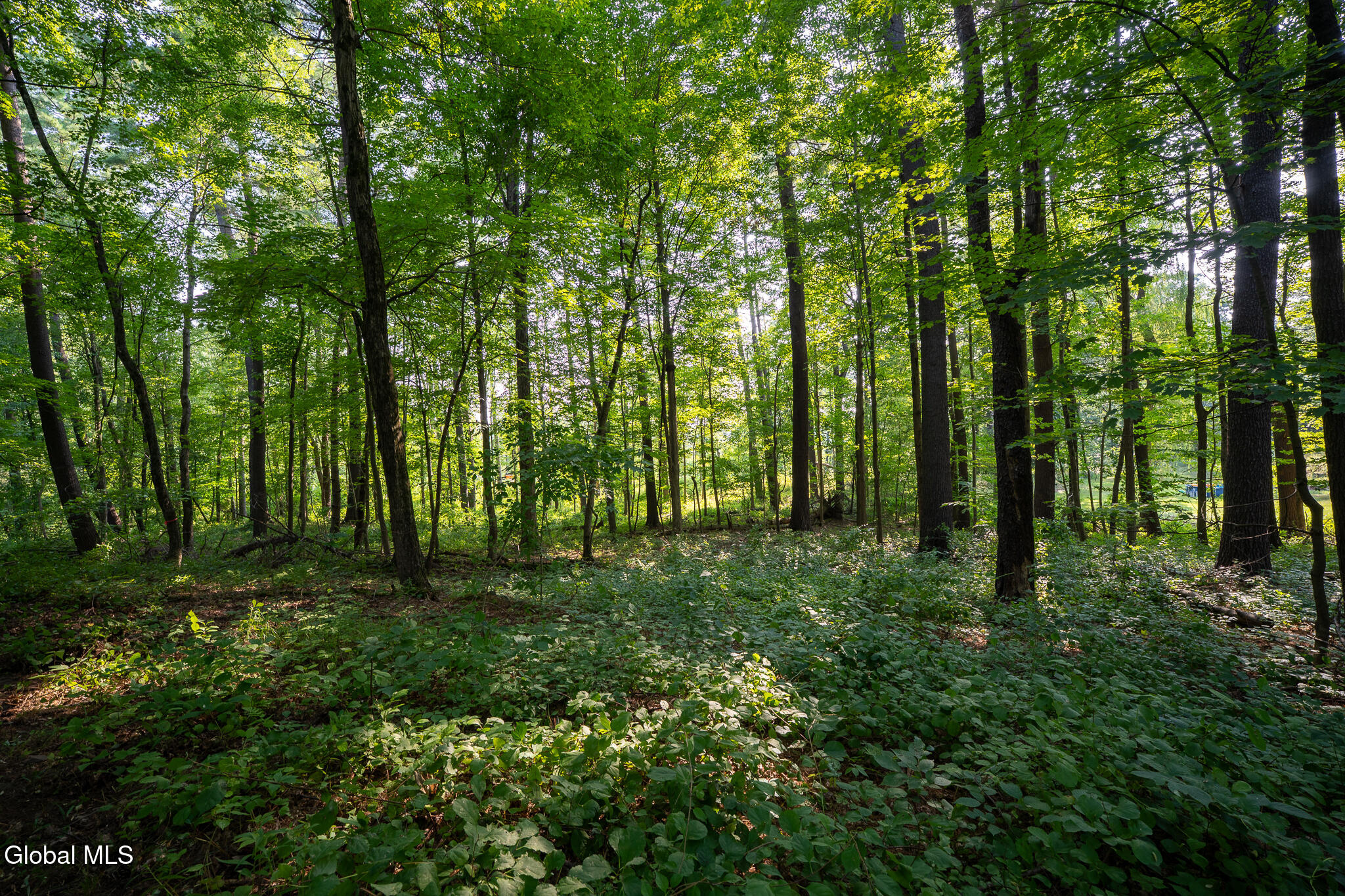 47 Wheeler Road Glenmont NY 12077