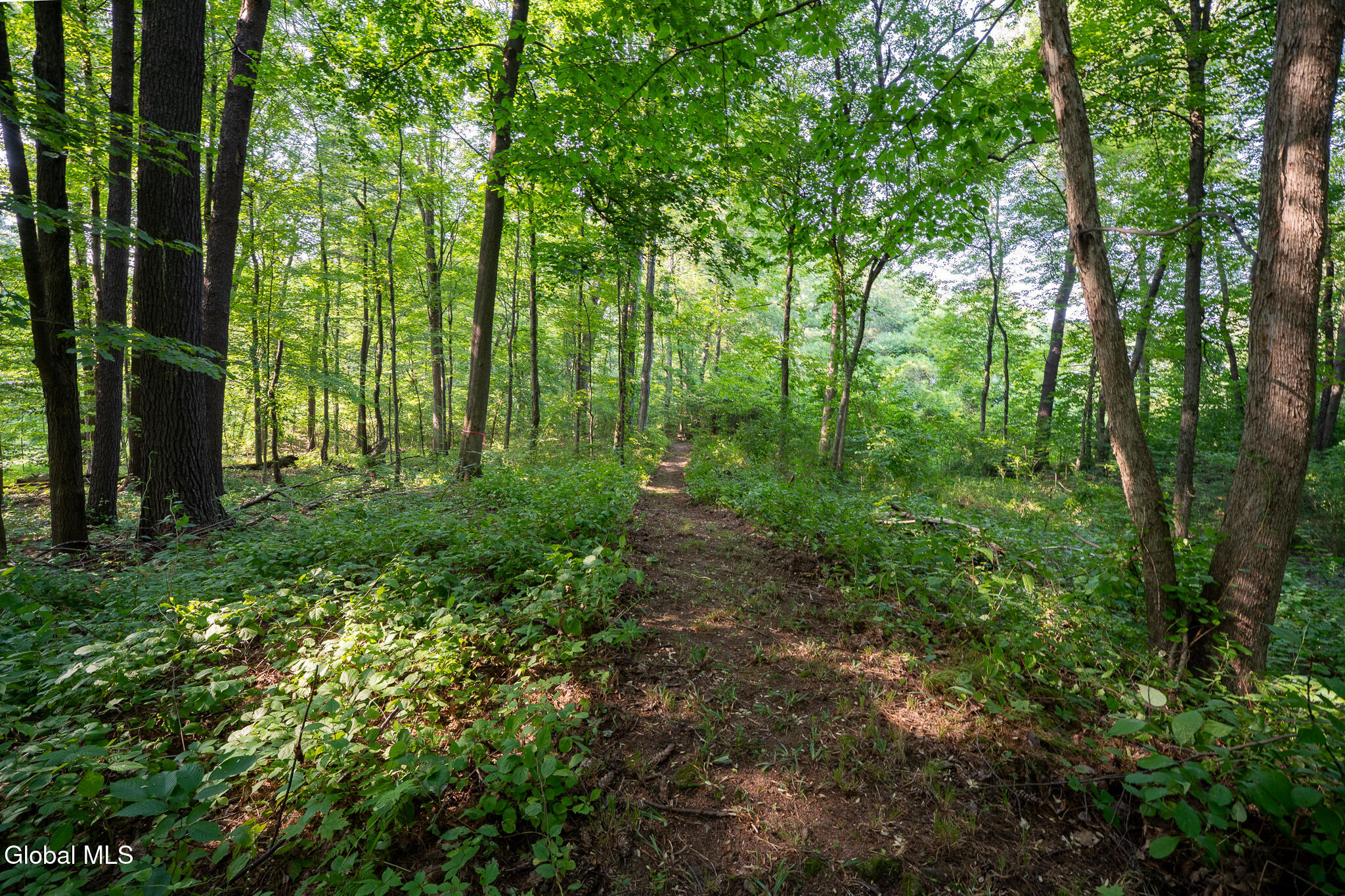 47 Wheeler Road Glenmont NY 12077