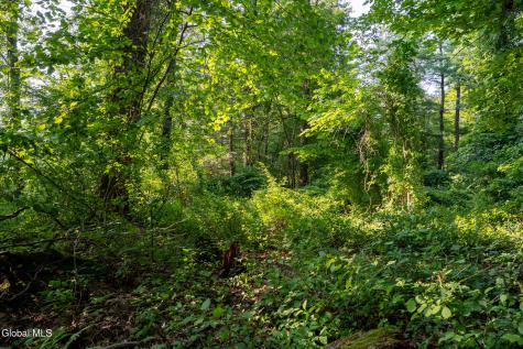 47 Wheeler Road Glenmont NY 12077