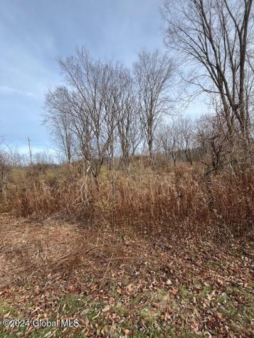 415 Gage Road Duanesburg NY 12053