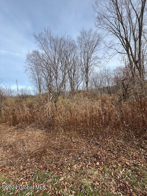 415 Gage Road Duanesburg NY 12053
