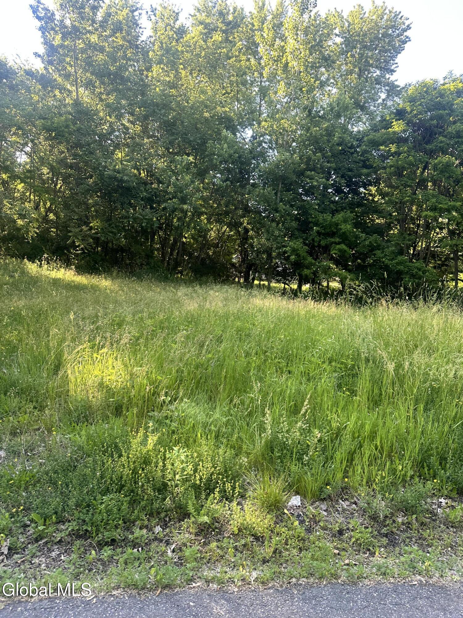 454 Bede Street Schenectady NY 12304
