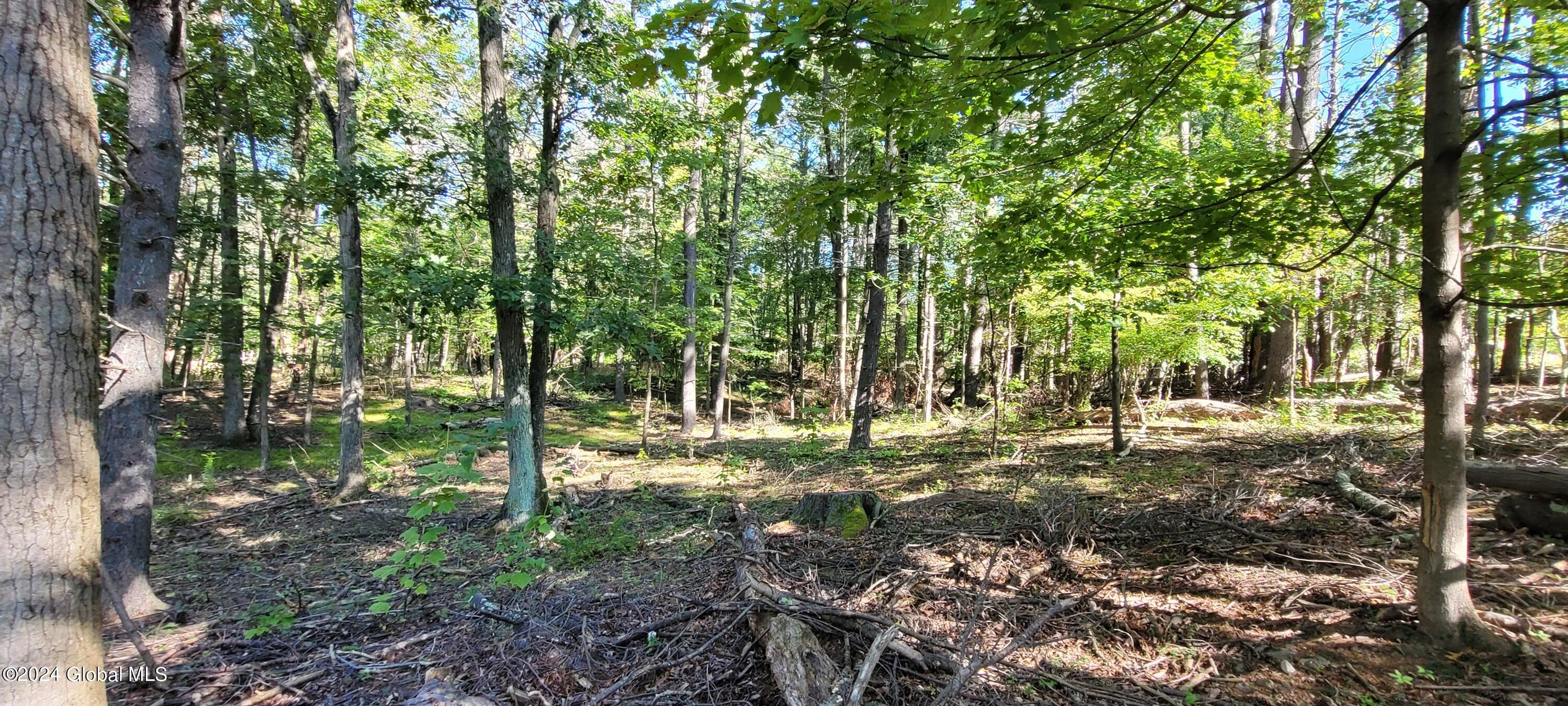 L20 High Hill Road Coxsackie NY 12051