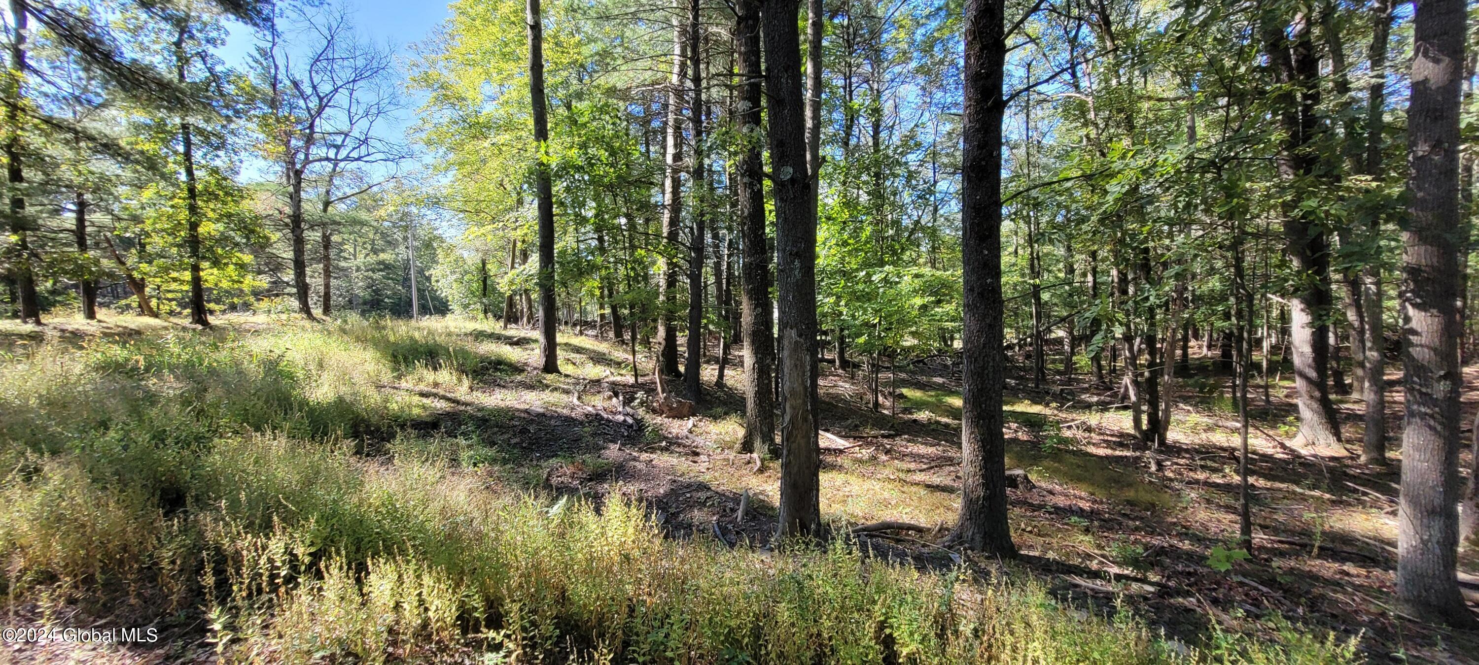 L20 High Hill Road Coxsackie NY 12051