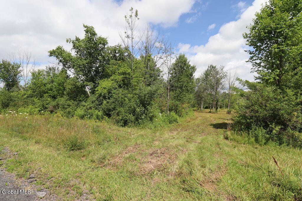 468 Middle Road Delanson NY 12107