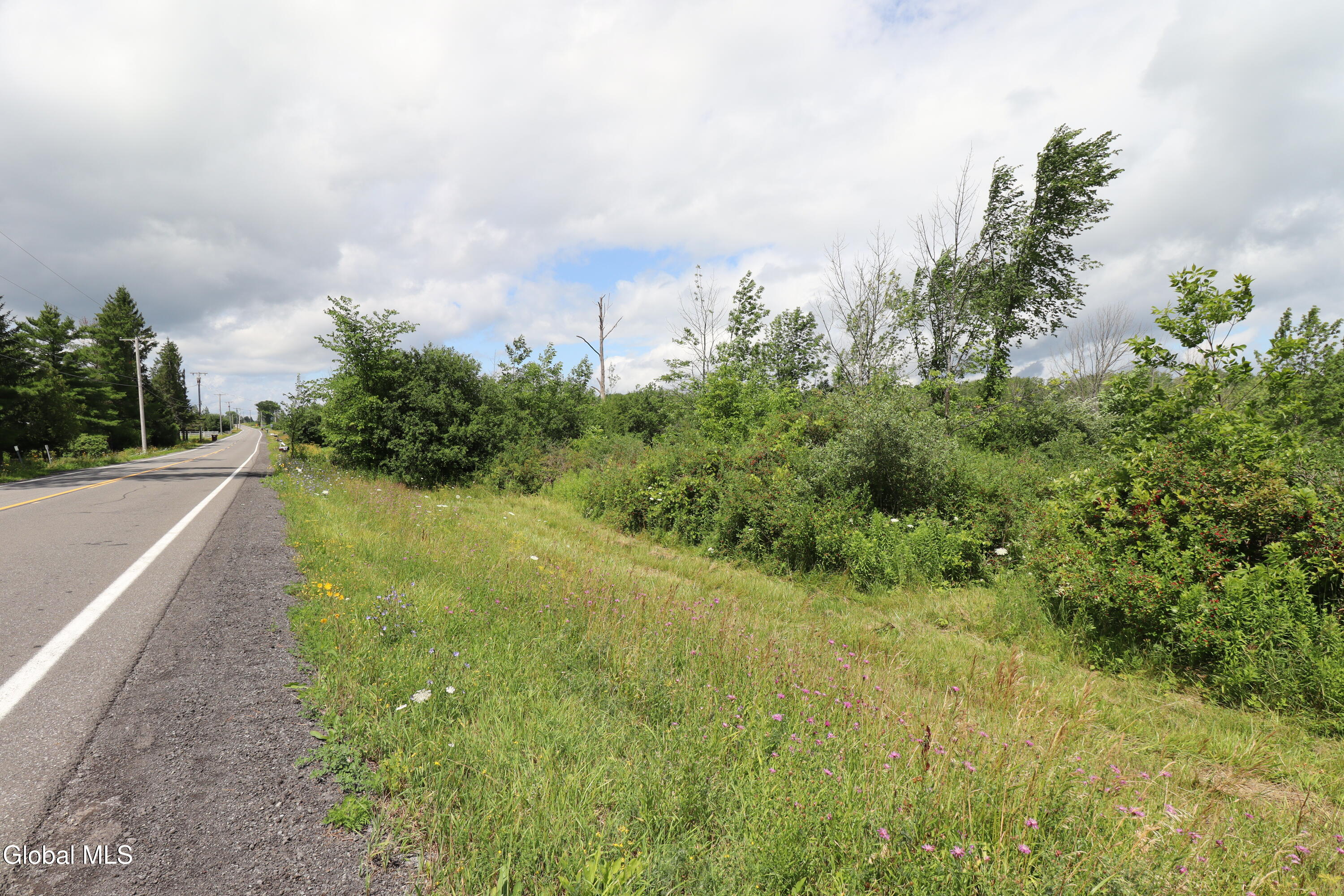 468 Middle Road Delanson NY 12107