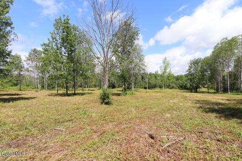 468 Middle Road Delanson NY 12107