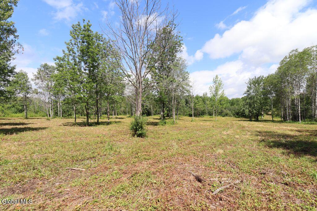 468 Middle Road Delanson NY 12107