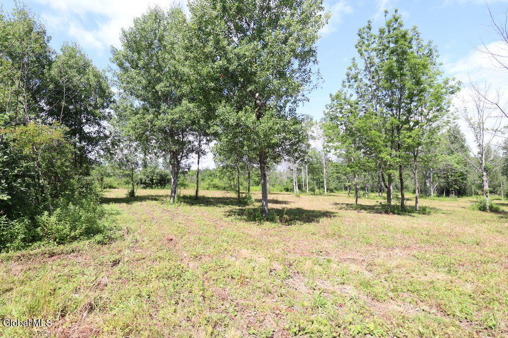 468 Middle Road Delanson NY 12107
