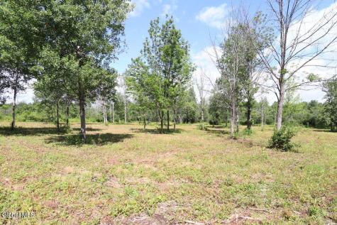 468 Middle Road Delanson NY 12107