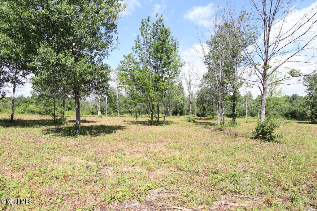 468 Middle Road Delanson NY 12107