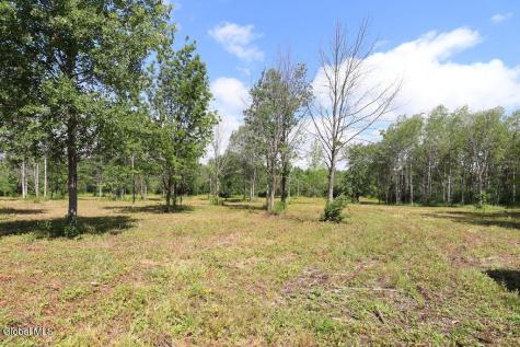 468 Middle Road Delanson NY 12107