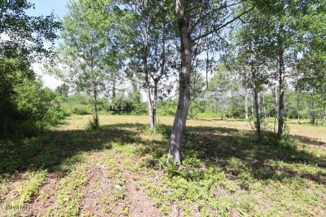468 Middle Road Delanson NY 12107