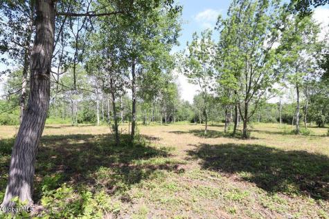 468 Middle Road Delanson NY 12107
