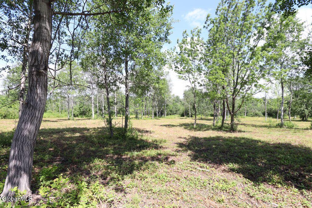468 Middle Road Delanson NY 12107