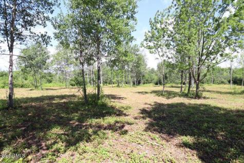 468 Middle Road Delanson NY 12107