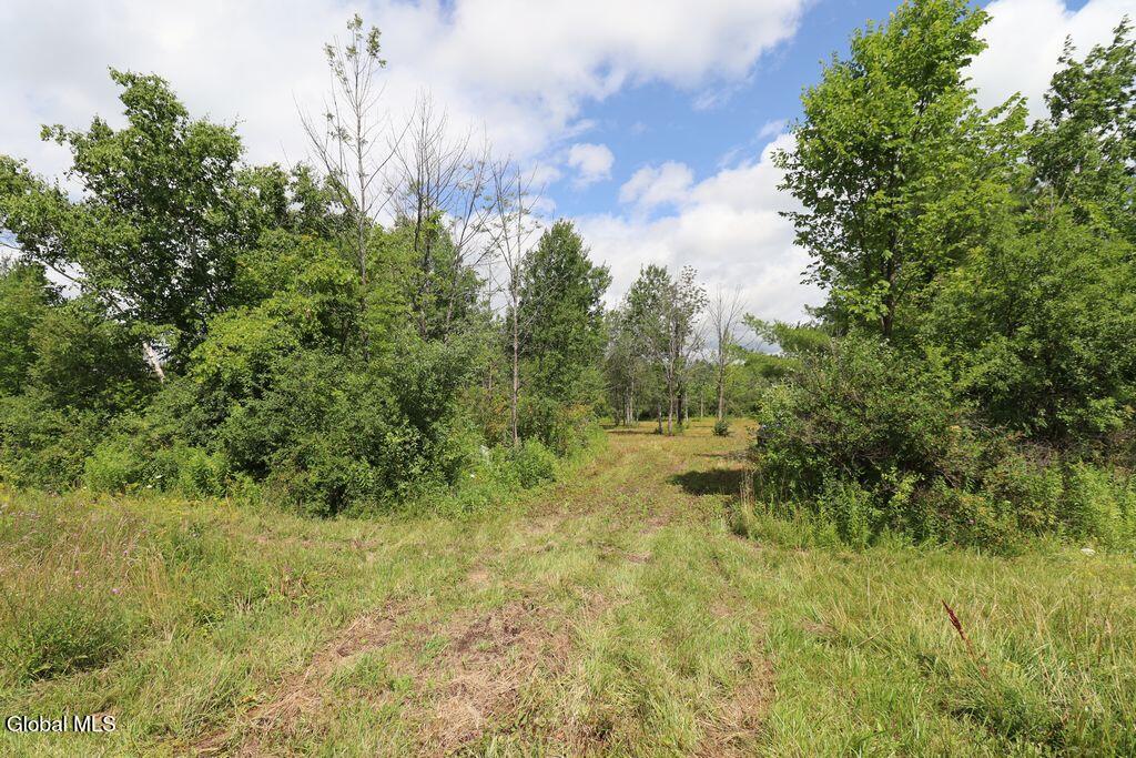 468 Middle Road Delanson NY 12107