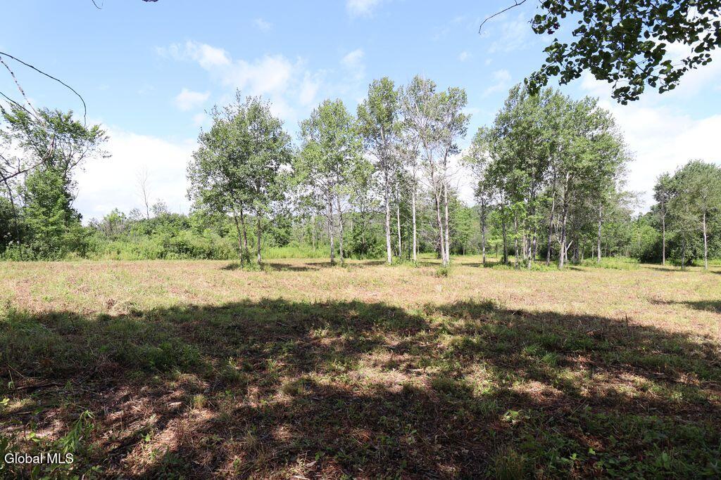 468 Middle Road Delanson NY 12107