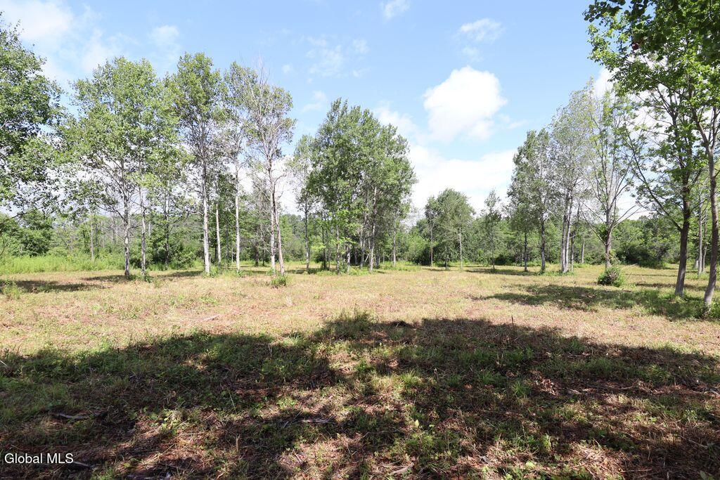 468 Middle Road Delanson NY 12107