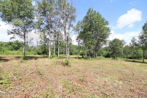 468 Middle Road Delanson NY 12107