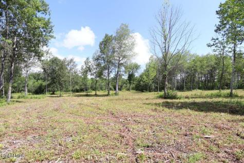 468 Middle Road Delanson NY 12107