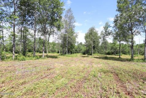 468 Middle Road Delanson NY 12107