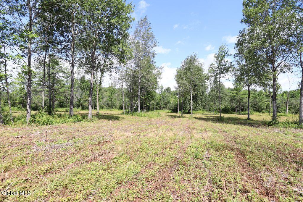 468 Middle Road Delanson NY 12107