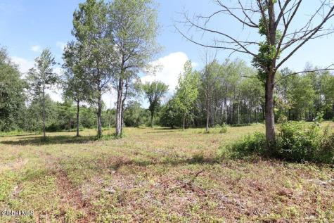 468 Middle Road Delanson NY 12107