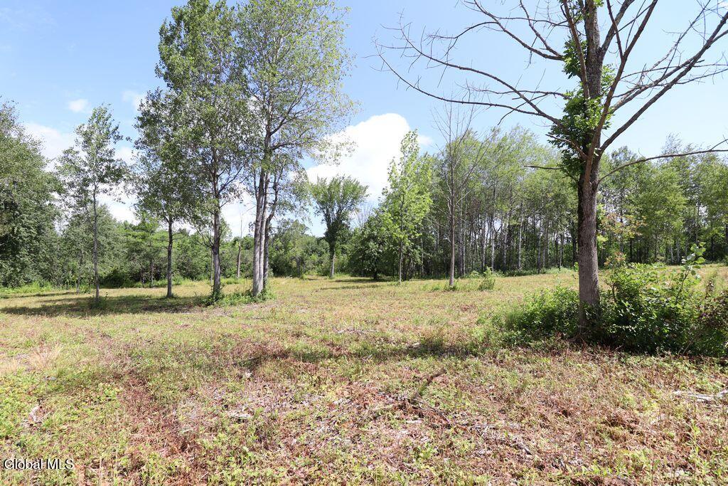 468 Middle Road Delanson NY 12107