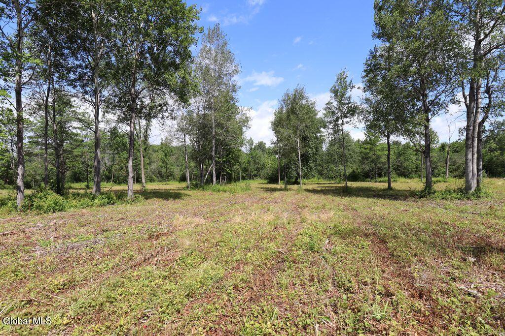 468 Middle Road Delanson NY 12107