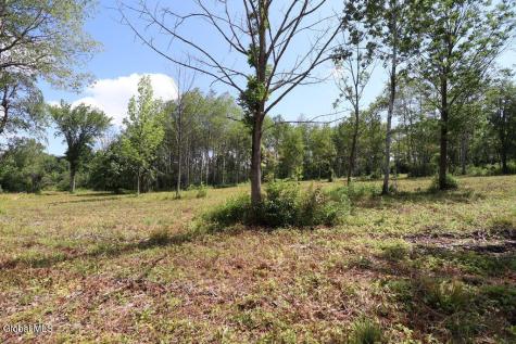 468 Middle Road Delanson NY 12107