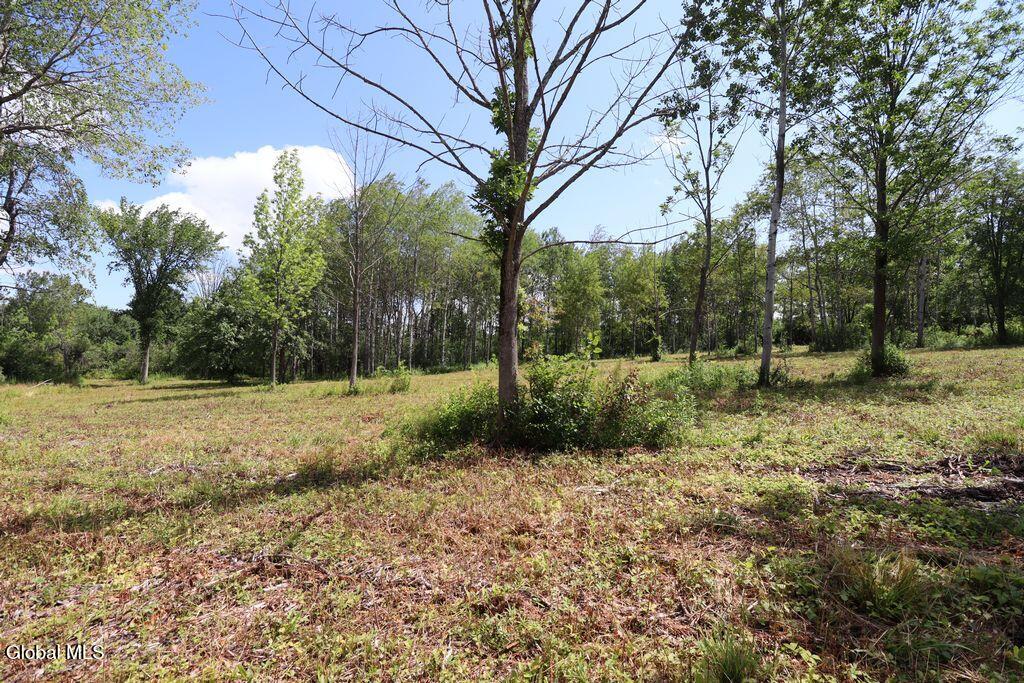 468 Middle Road Delanson NY 12107