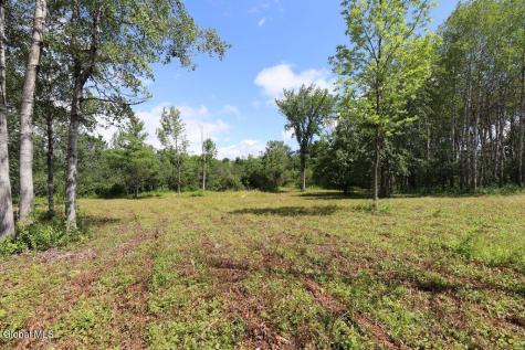 468 Middle Road Delanson NY 12107