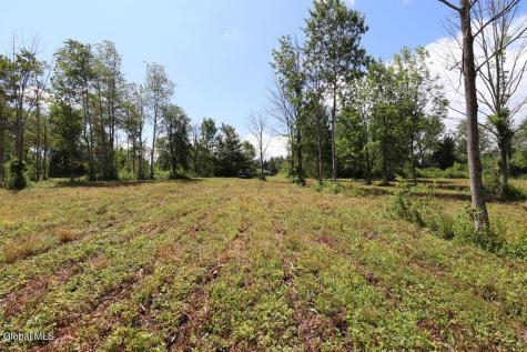 468 Middle Road Delanson NY 12107