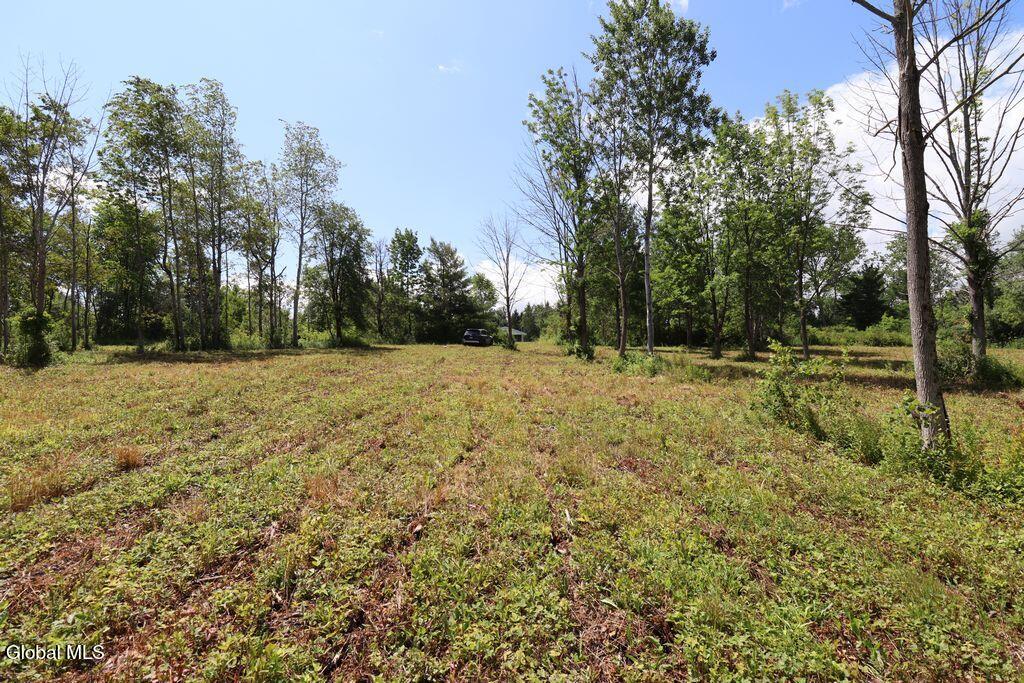 468 Middle Road Delanson NY 12107