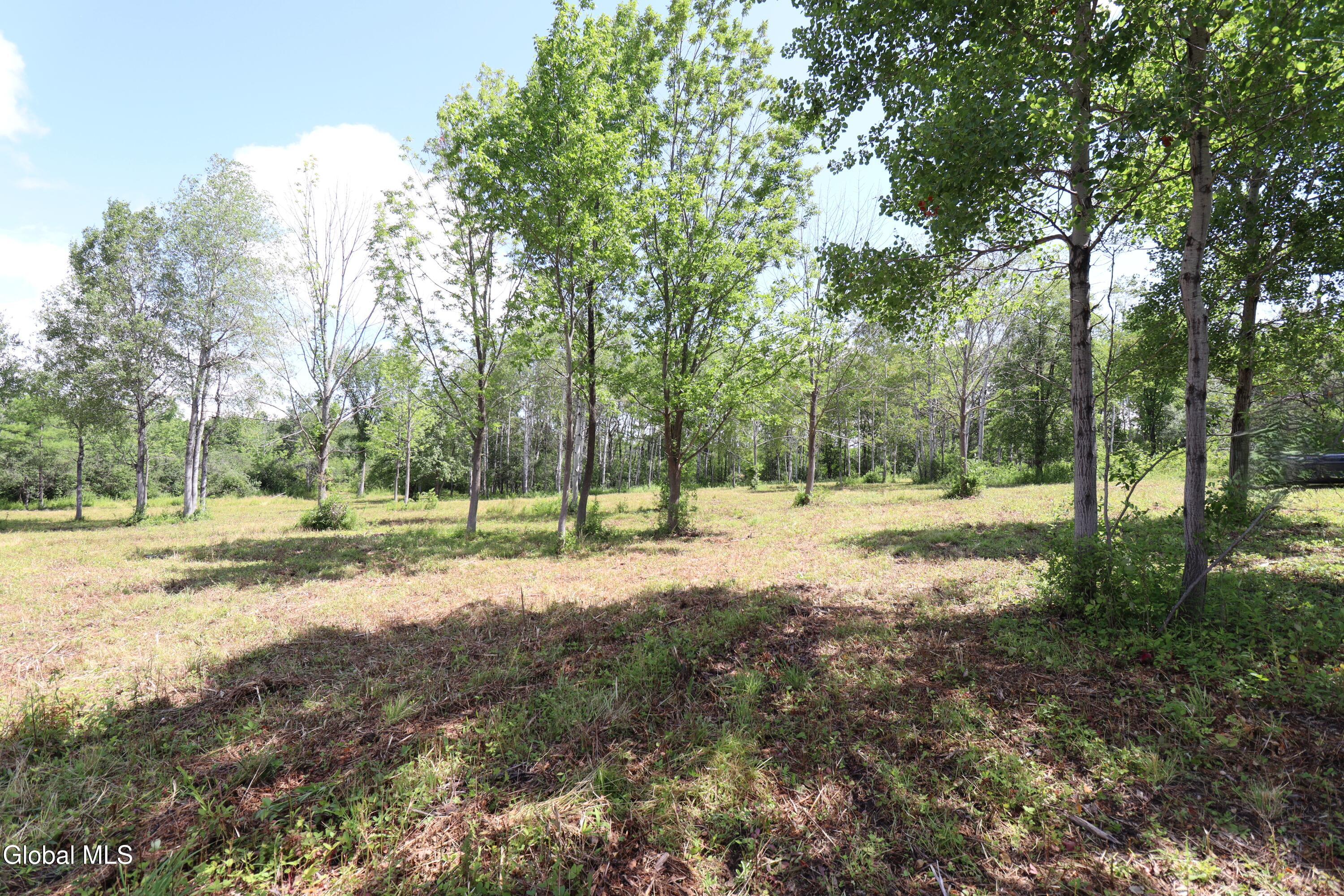 468 Middle Road Delanson NY 12107