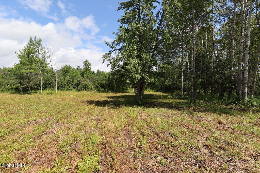 468 Middle Road Delanson NY 12107