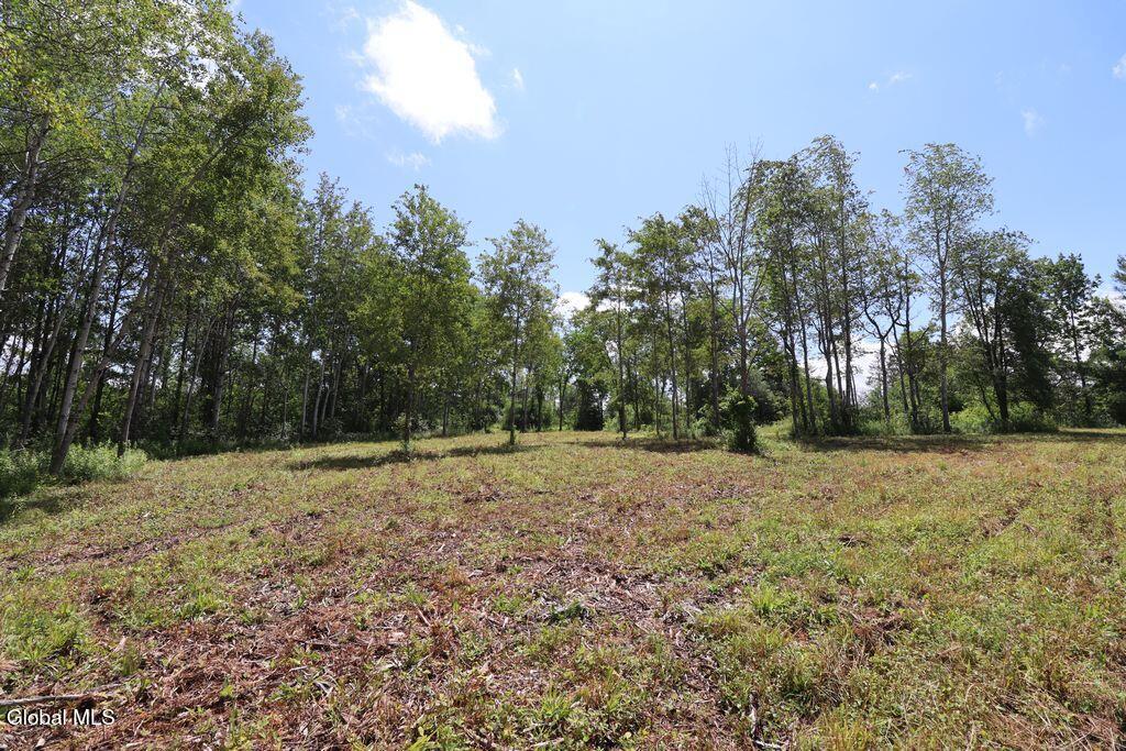 468 Middle Road Delanson NY 12107
