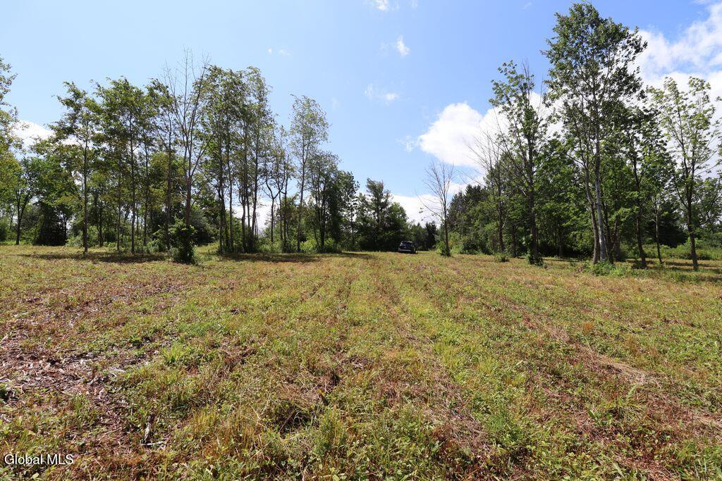468 Middle Road Delanson NY 12107