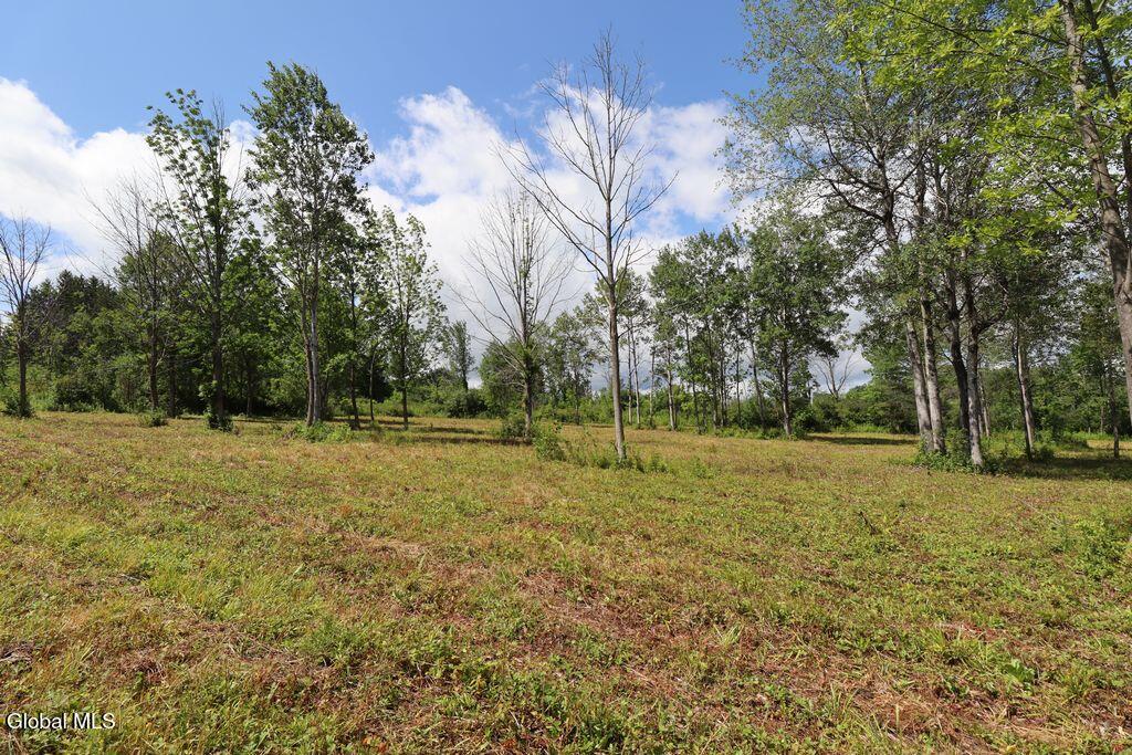 468 Middle Road Delanson NY 12107