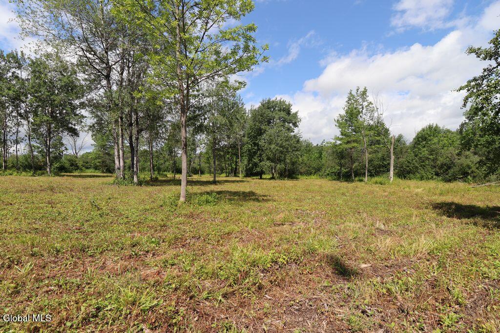 468 Middle Road Delanson NY 12107
