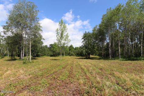 468 Middle Road Delanson NY 12107