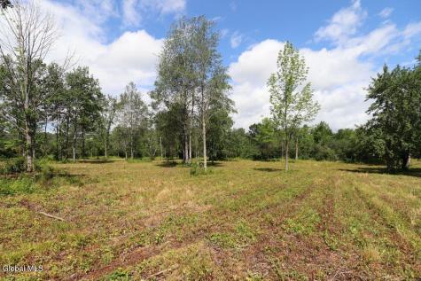 468 Middle Road Delanson NY 12107